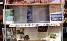 «Байкал – жемчужина Сибири» - Книжная выставка